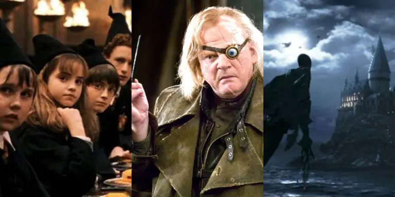 10 faits sur Canon Harry Potter que les fans ignorent, selon Reddit